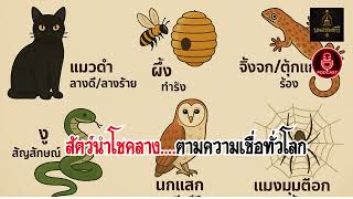 6สัตว์บอกลางบอกเหตุตามความเชื่อคนทั่วโลก