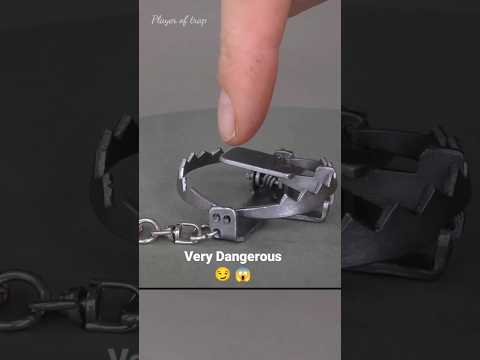 bird trap easy homemade | bear trap | bird catcher | mouse trap/rat trap #shorts #youtubeshorts