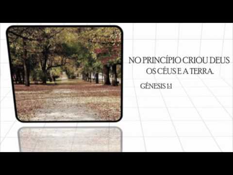 Criação video
