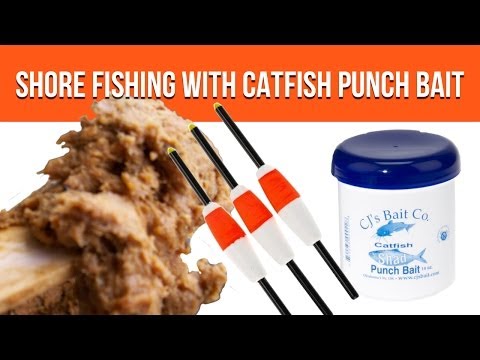 Bank Fishing for Catfish, How to Catch Catfish From the Shore -  Instructables