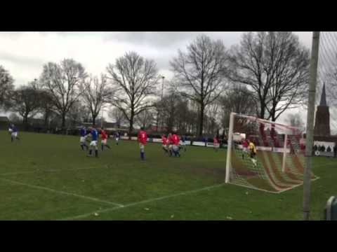 4D: Impressie Viola - Gloria UC