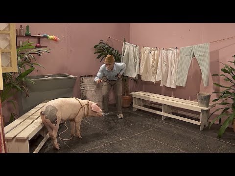 Vivir del Cuento FELIZ 2019 (31 Diciembre 2018)