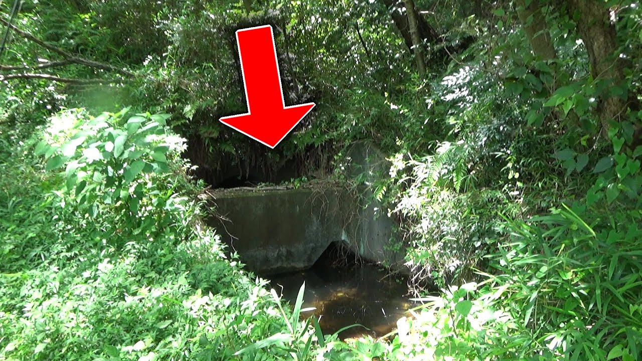 森に『１匹だけ』いる魚を釣ってみた。