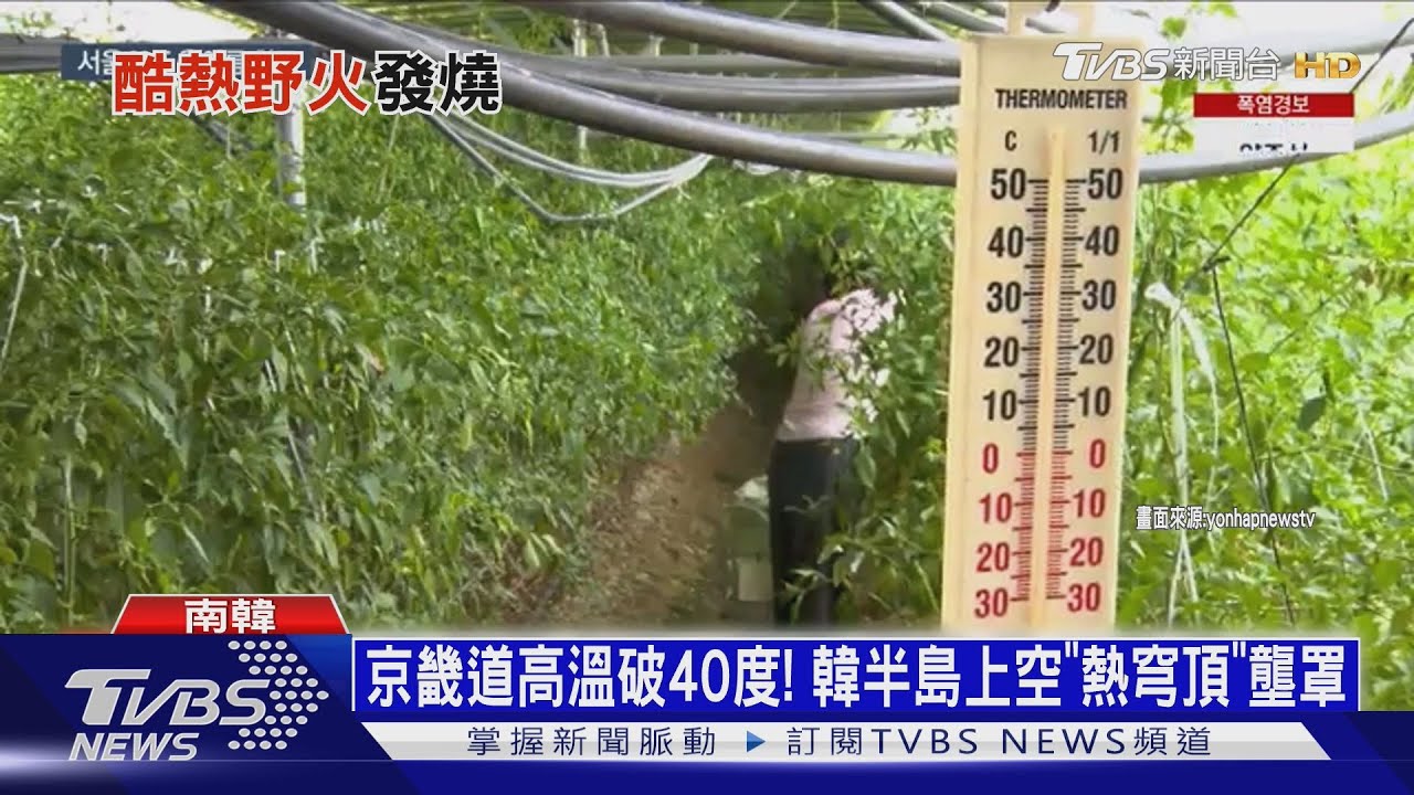 南韓「熱穹頂」籠罩!首爾飆38度 東大門熱到路面塌