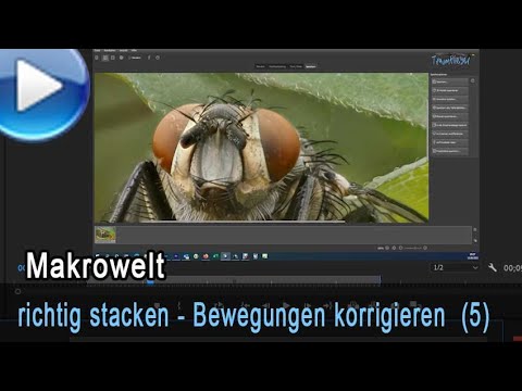 richtig stacken: Bewegungen korrigieren mit Helicon (5)