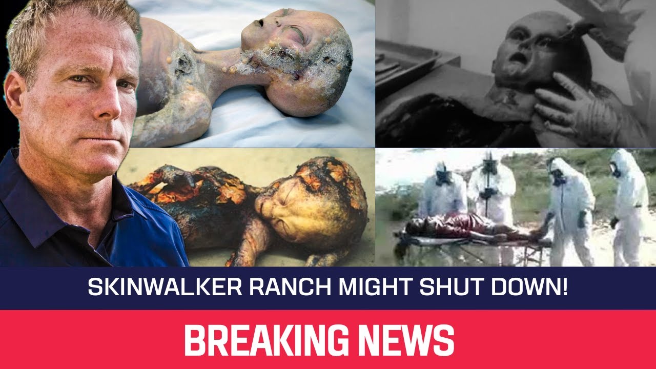 YouTube Thumbnail Downloader FULL HQ IMAGE