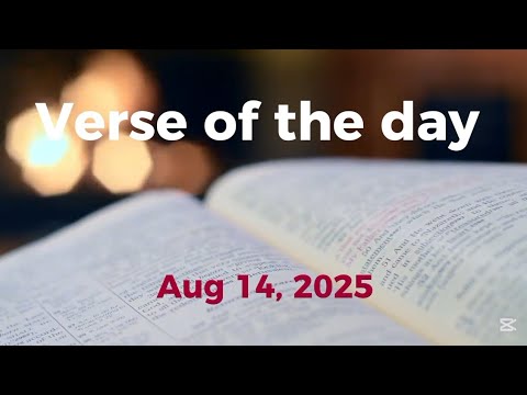 Verse of the day - August 14, 2025 | Hebrews 4:15