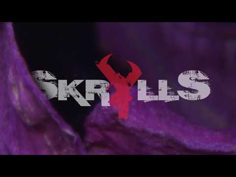 SKRYLLS - Nicole (Official Lyrics-Video)