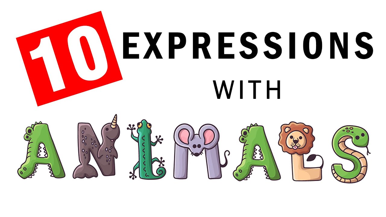 10 English idioms and expressions with animals || Slow Easy English
