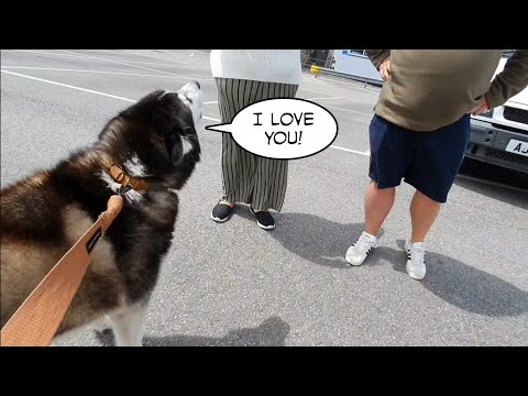 Guy Takes Dog Out For A Walk, Is Embarrassed By How Talkative It Is