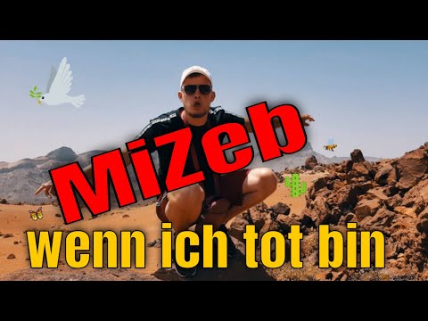 MiZeb - Wenn ich tot bin I REACTION/ONE.TAKE.ANALYSE