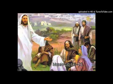 Reflexión del Evangelio de San Mateo 10, 16 - 23