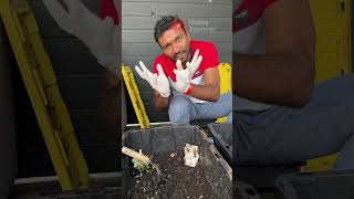 🇺🇸America-ல 🪱 புழு உரம் 🪱 Worm Compost #HobbyExplorer #gardening