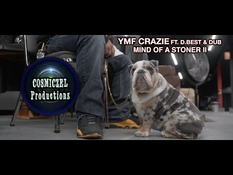 download lagu mp3 mp4 Ymf Contact, download mp3 Ymf Contact free download mp3, download mp3 Ymf Contact