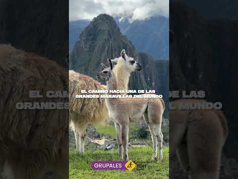 MARAVILLA