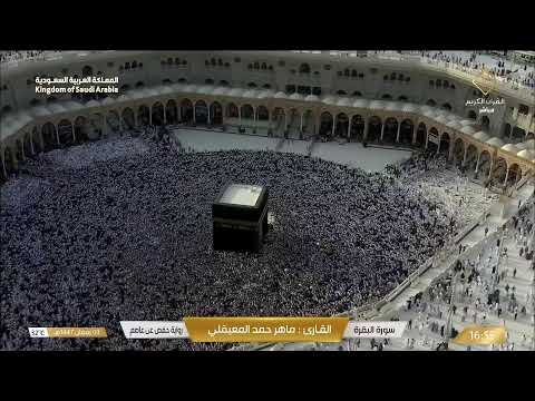 LIVE Makkah Today: Ramadan 🌙 2026 (1447 AH) | Taraweeh, Tahajjud & Kaaba 24/7 Stream