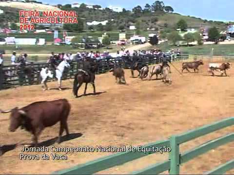 Campeonato Nacional Prova da Vaca na Feira Nacional de Agricultura 2012