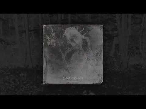 CAT IN DA GLASSES - BROTHERHOOD [BEAT]