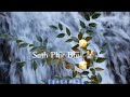 Zindagi Pyar Ka Geet Hai Status Whatsapp Status Full Screen Status Old Is Gold Status ️
