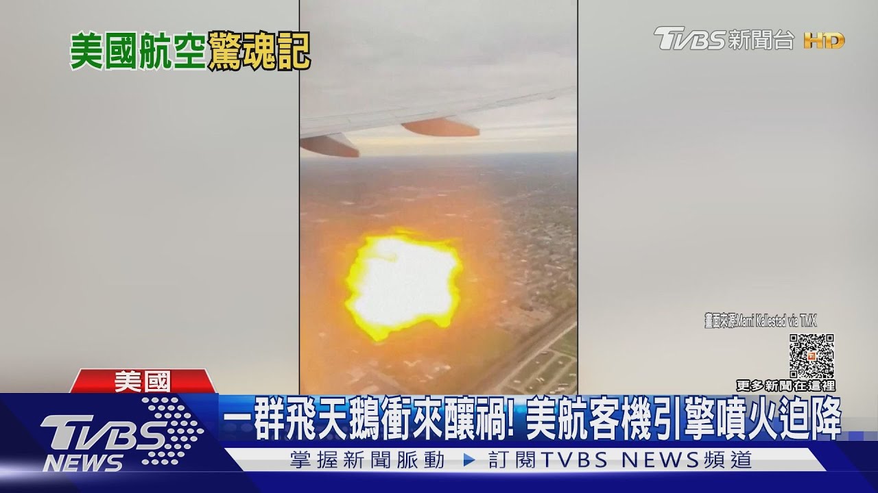 一群飛天鵝衝來釀禍! 美航客機引擎噴火迫降