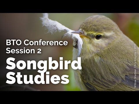 BTO Conference 2021: Session 2 - Songbird Studies