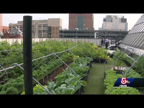 download lagu mp3 mp4 Bmc Walk In Clinic, download lagu Bmc Walk In Clinic gratis, unduh video klip Bmc Walk In Clinic