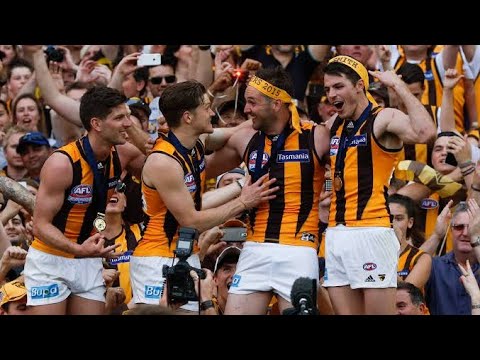 The 2015 AFL Finals Series