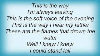 Devendra Banhart - This Is The Way Lyrics