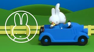 Miffy kommt zu spät zur Schule • Miffy & Freunde