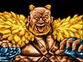 Ring Of Destruction Slam Masters II OST Theme Of Grater Sheep