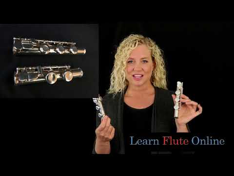 How to Choose a Flute The Gizmo Key