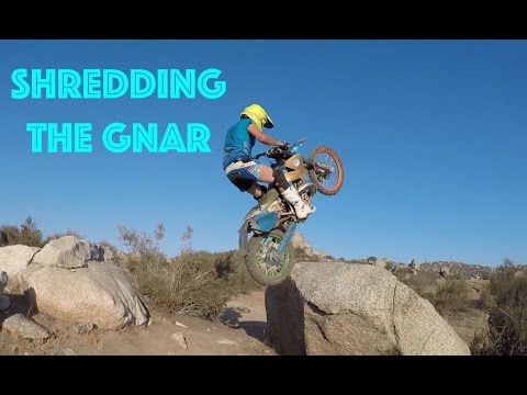 Shredding the Gnar