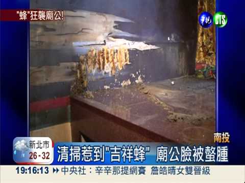 清掃誤惹"吉祥"蜂? 廟公被螫腫臉
