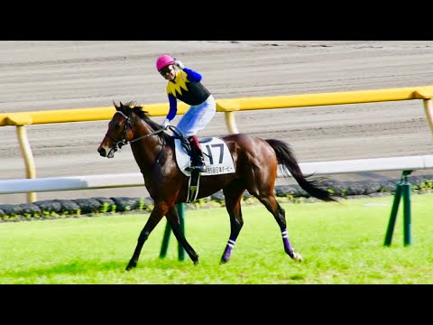 日本ダービー東京優駿③ウイニングラン福永祐一＆ワグネリアン＠東京競馬場