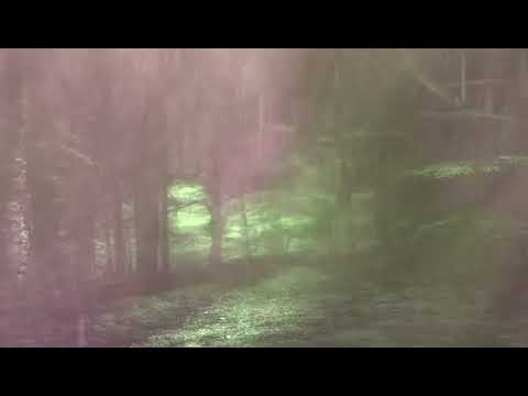 Đường Xa Ướt Mưa || St: Đức Huy || Hạnh Duyên (Tammy Thuy)Cover