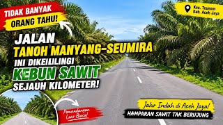 Download lagu 🌴 Tidak Banyak Orang Tahu, Jalan Tanoh Manyang–Seumira Ini Dikelilingi Kebun Sawit Sejauh Kilometer! mp3