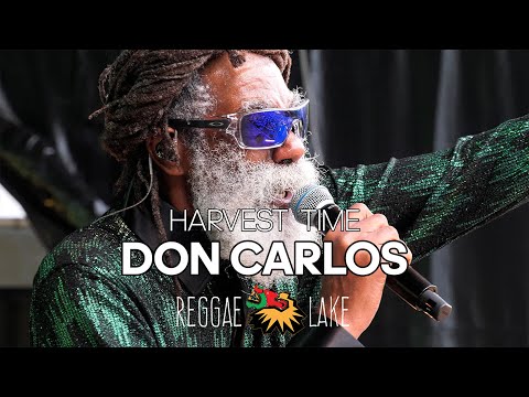 Harvest Time - Don Carlos