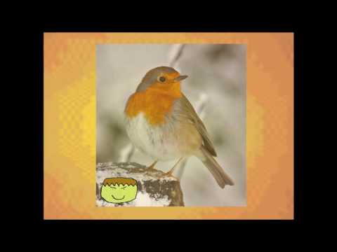 nelward - Gorgeous Foe (embellished)