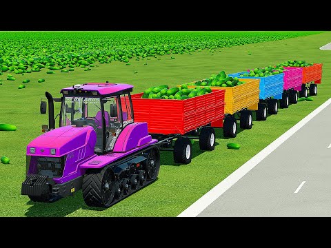 CUT SUNFLOWERS, MAKE CHAFF AND TRANSPORT CUCUMBERS WITH JCB TRACTORS - Farming Simulator 22