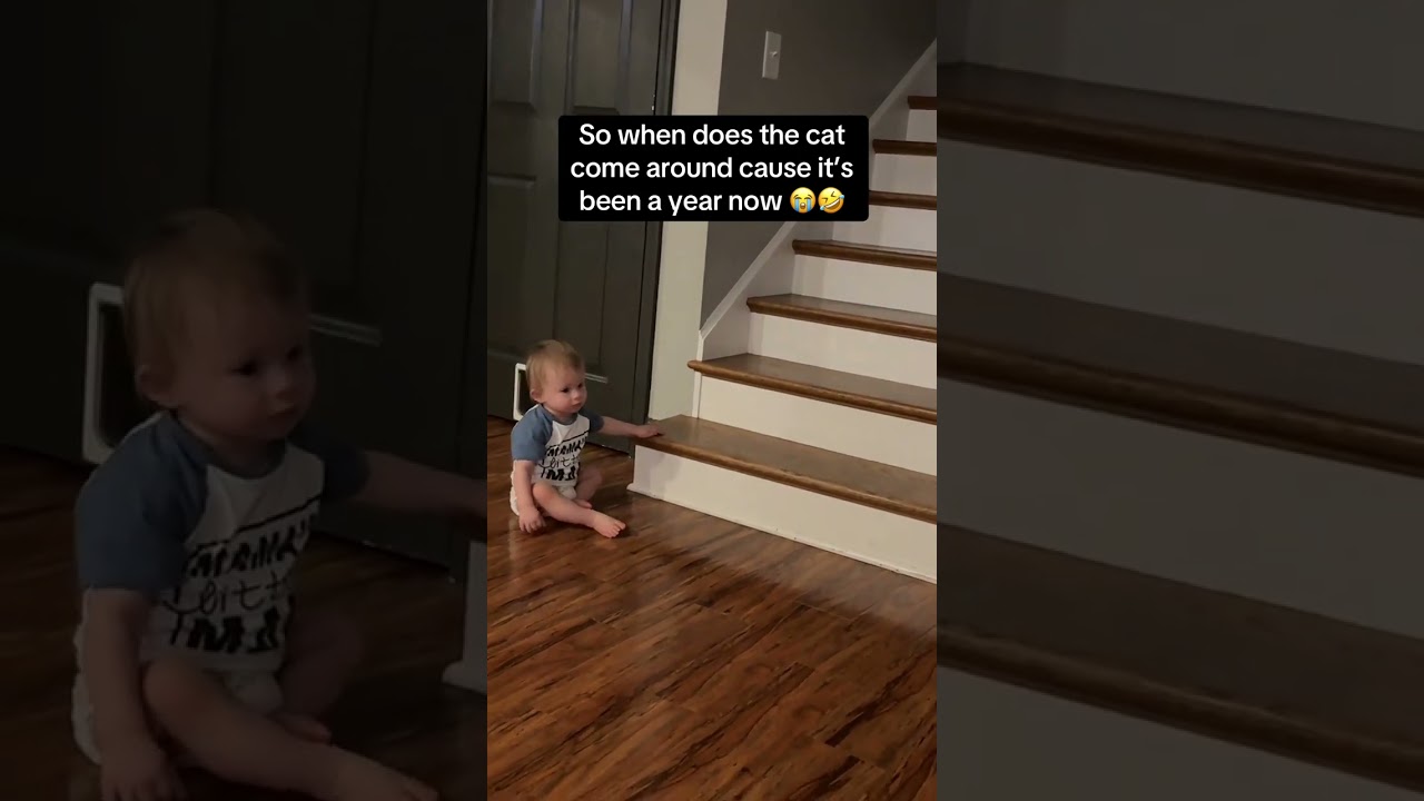 I think we’re making some progress lmao 😂 #cat #cats #kitten #kittens @stephanyavictoria