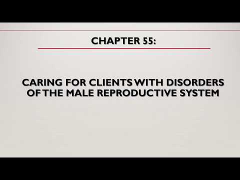 Disorders of Male Reproductive System - Nursing Lecture