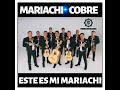 MARIACHI COBRE  - LAS TRES HUASTECA