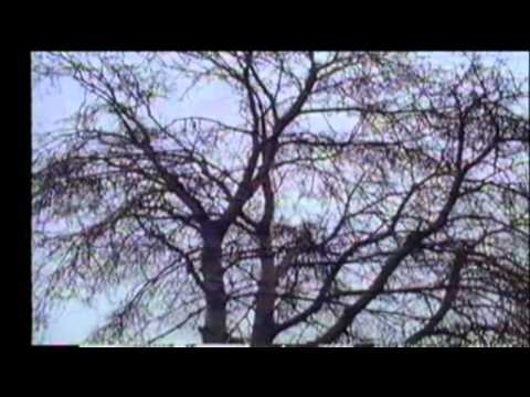 Ja sam rodjen u ravnici - Pajdasi.wmv