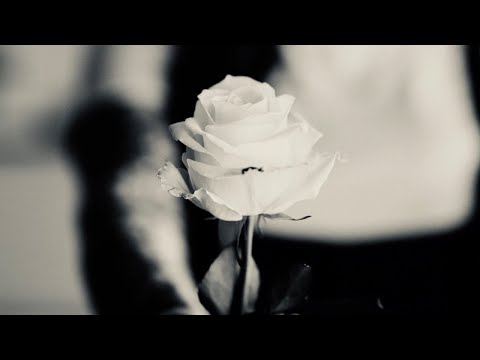 ØFDREAM - Perception [Liquid Ritual]