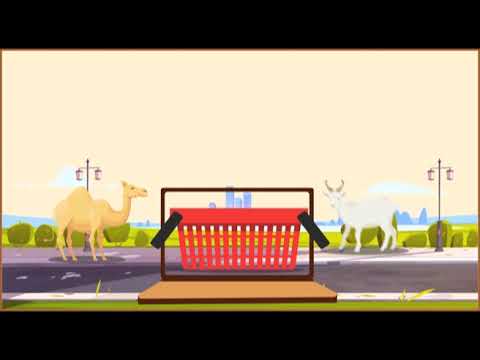 Qurbani Collection Video