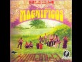 Bush y sus magníficos - humanidad
