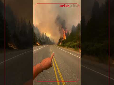 Incendio intencional en El Hoyo: ya son 1.800 hectáreas arrasadas y 3.000 turistas evacuados