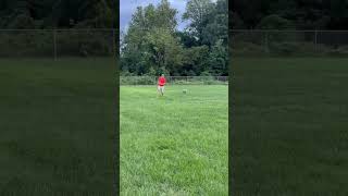 Video preview image #1 Mutt Puppy For Sale in Rockville, MD, USA