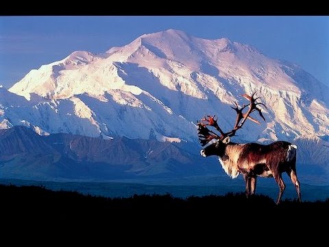 Sự khắc nghiệt của thiên nhiên Alaska (  - NatGeo Tiếng Việt)
