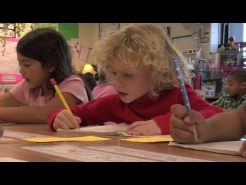 The Importance of a Dual Language Education